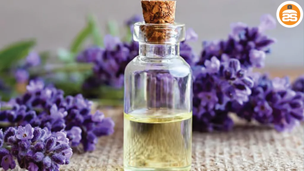 اسطوخودوس؛ آرامش در یک رایحه