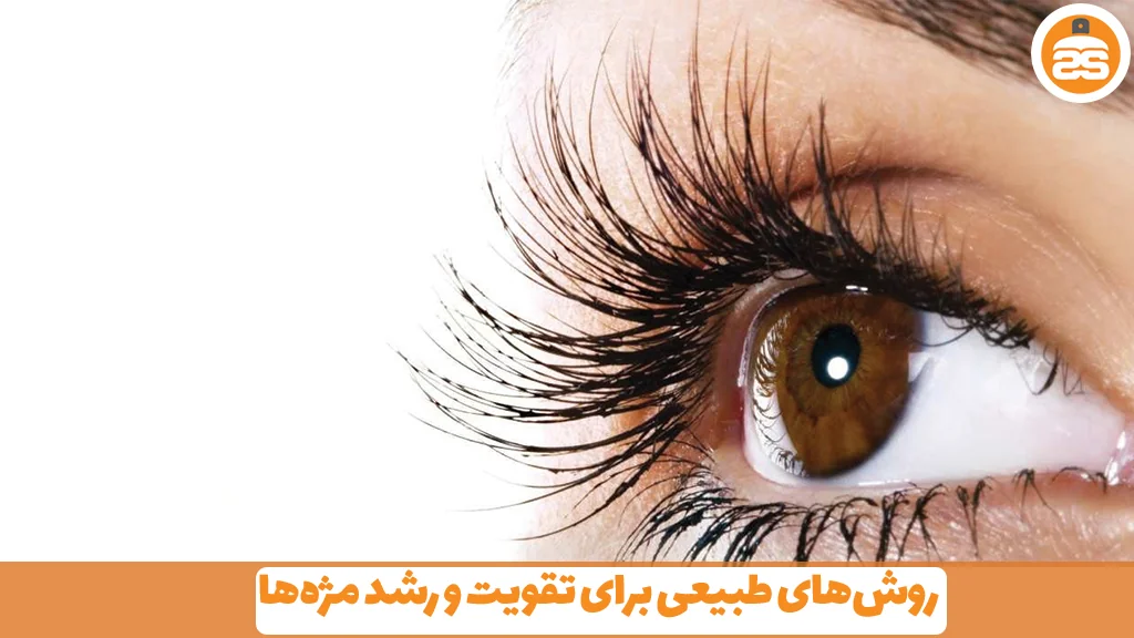 روش‌های طبیعی برای تقویت و رشد مژه‌ها 